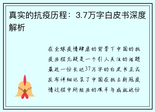 真实的抗疫历程：3.7万字白皮书深度解析